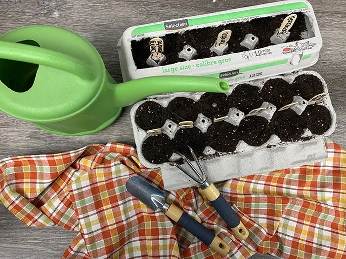Upcycled Egg Carton Seed Starters