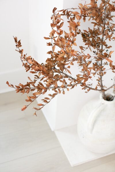 Social-squares-pumpkin-spice-orange-fall-stock-photos040 | More Than Thursdays